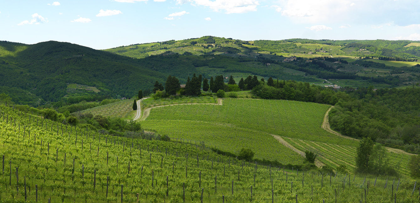 Virtual Vino and cheese event - A Taste of Italy with The Prince Wine Store