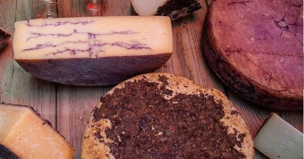 Red wines and cheese – a primer