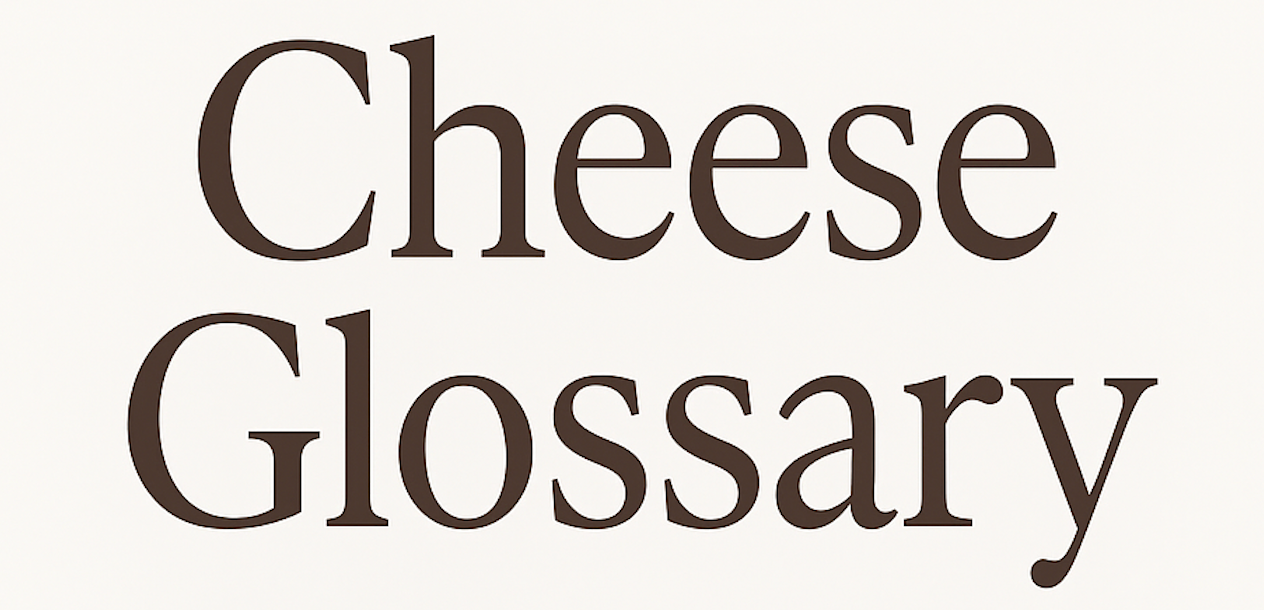 Glossary