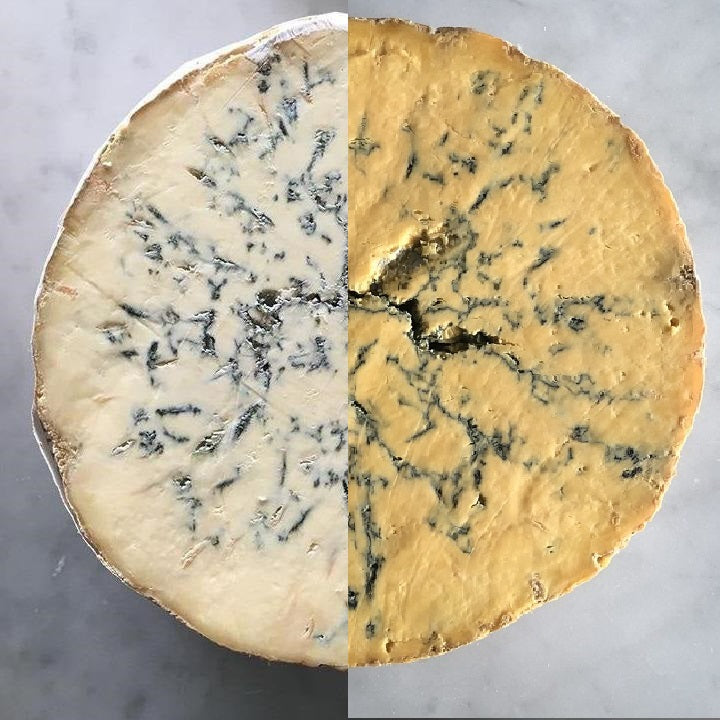 STILTON vs SHROPSHIRE BLUE