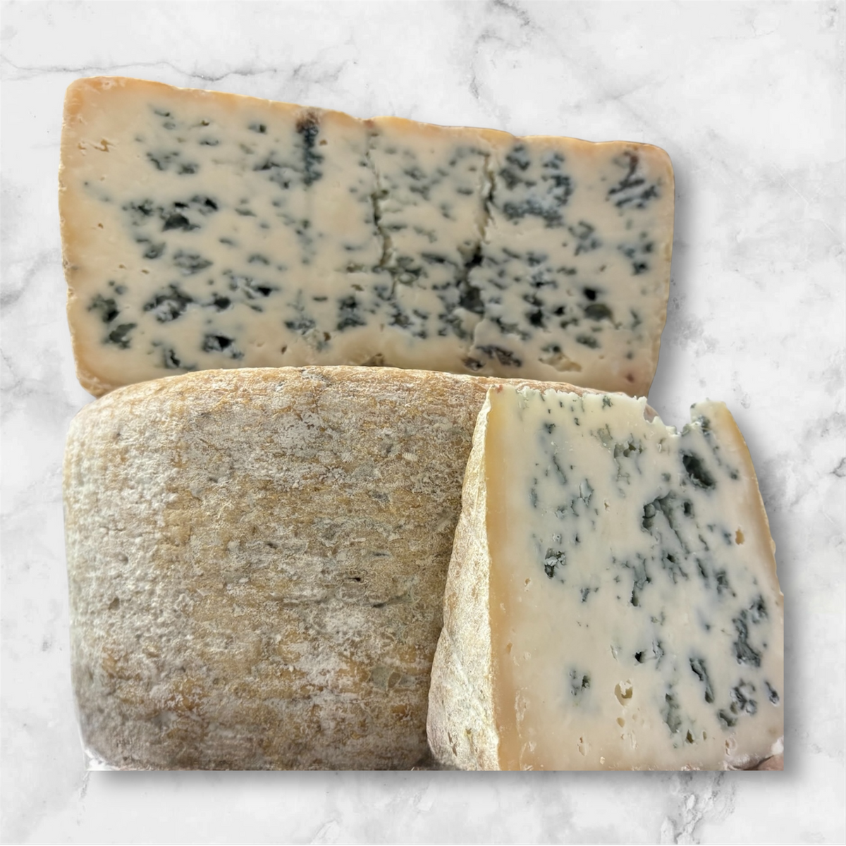 Urdina Sheep “Fromagerie de Agour”