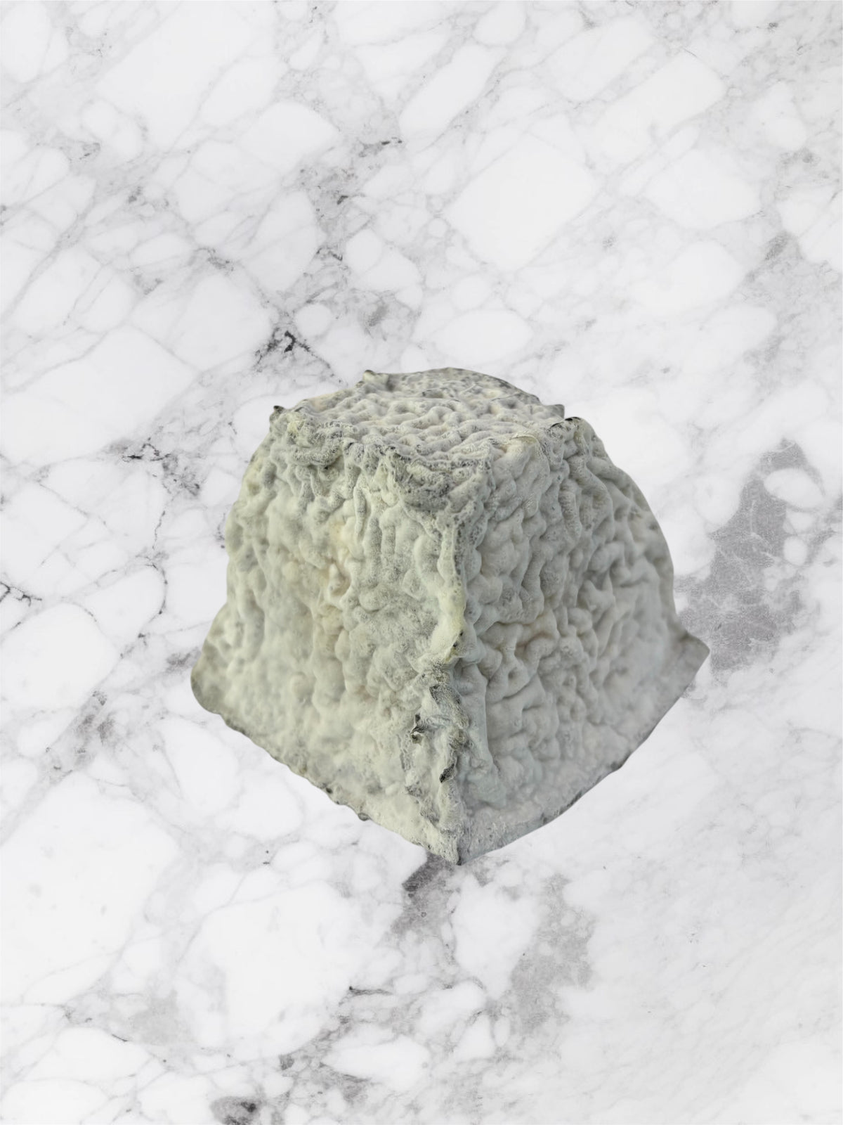 Pyramide de Valencay “Fromagerie Pierre Jacquin”