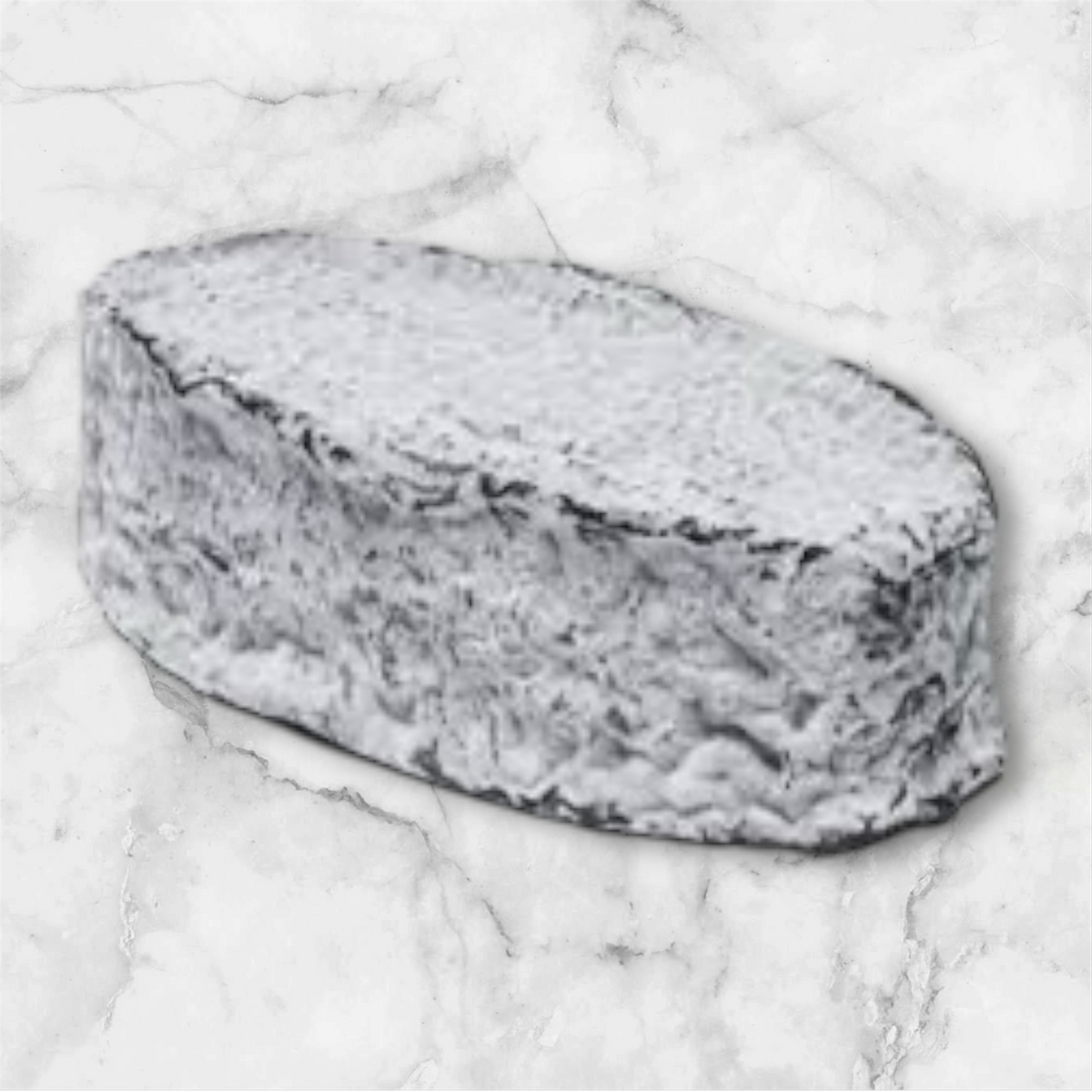 Delice des deux Sevres “Poitou Chèvre”
