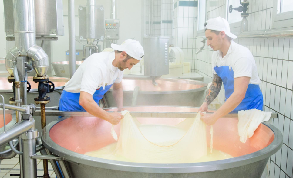 Parmigiano Reggiano DOP - 933 Caseifici di Cavola