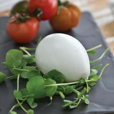 Vannella Buffalo Mozzarella 125g