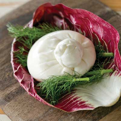 Vannella Burrata 150g